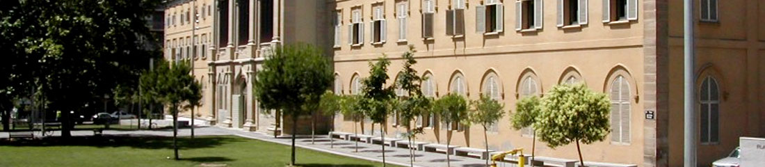 Universitat de Lleida 