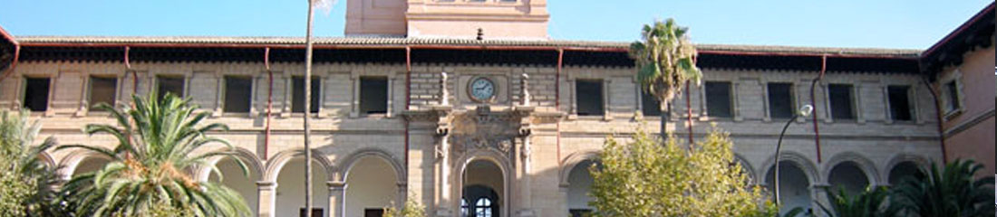 Universitat Ramon Llull 