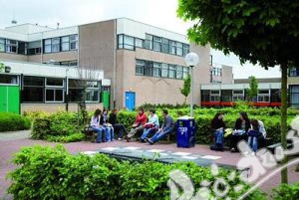 Windesheim honours college 