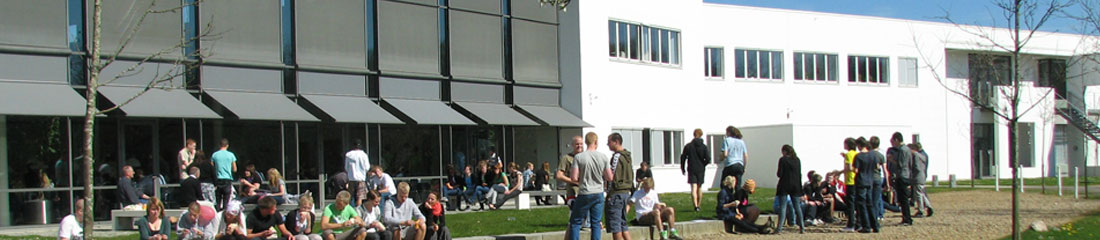 Aarhus university, Institute of business and technology