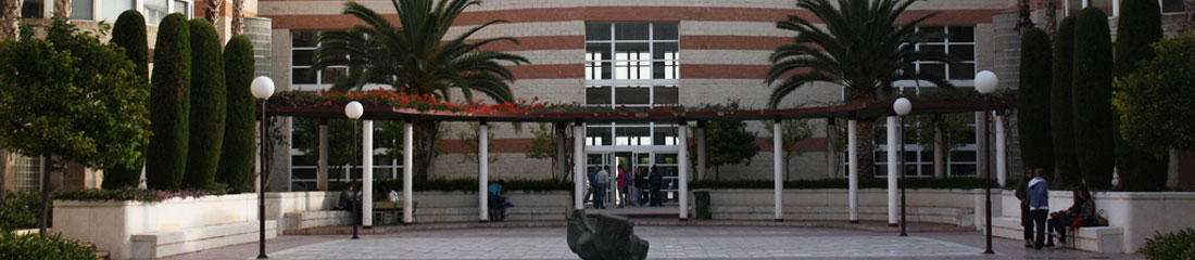 Universidad de Alicante 