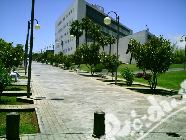 Universidad de La Laguna 