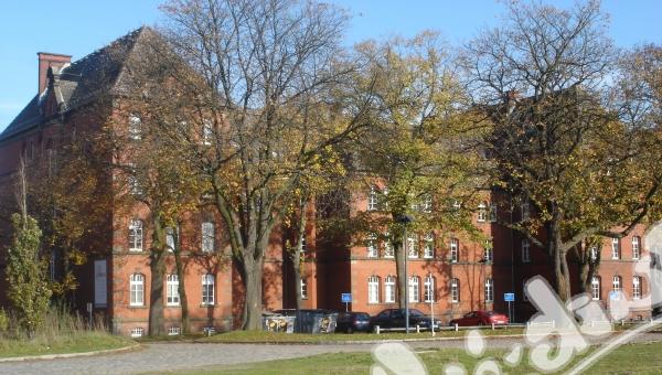 Westfälische Wilhelms-Universität 